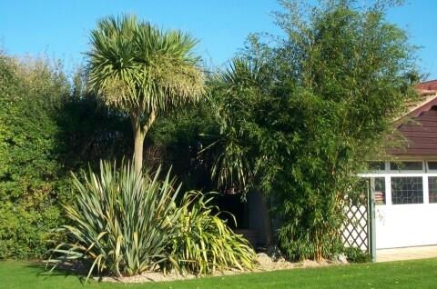Shrub garden