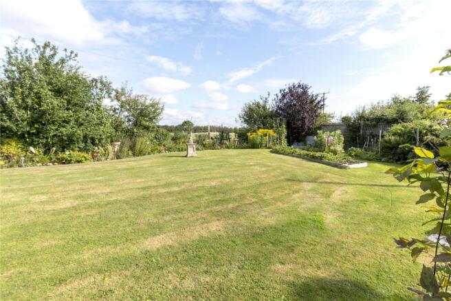 Back Garden