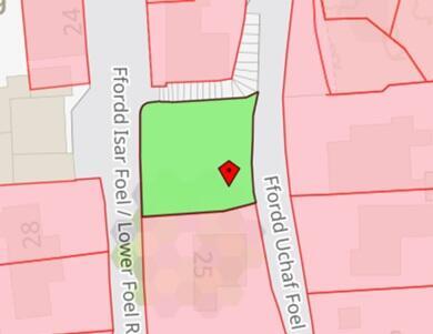 Lower Foel T202502271649.jpg