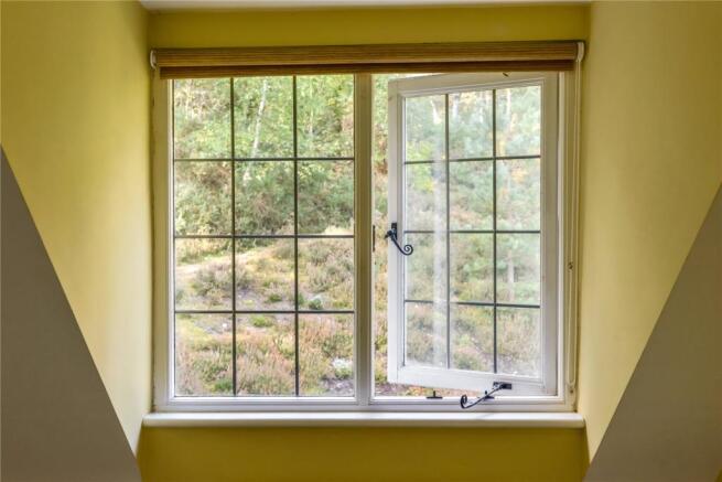 Window