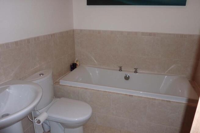 Picture 8