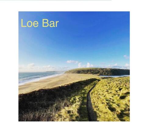 Loe bar label.jpg