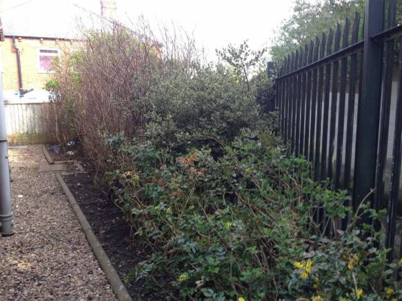 Photo 14