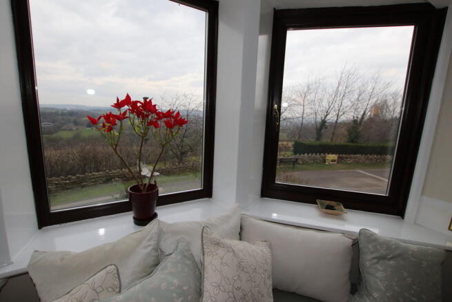 Lounge Outlook