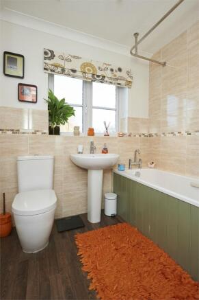 photo6