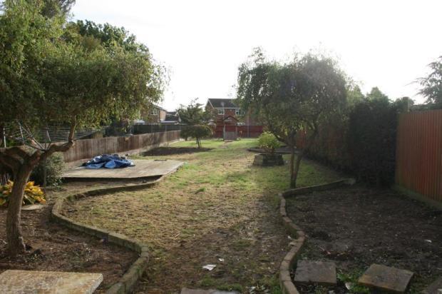 Picture No.11