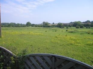 Views Over Paddock Fiedls