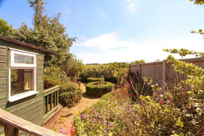 Garden at Back