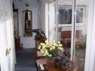 Picture 7