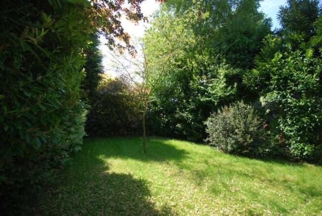 Photo 15