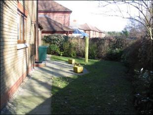 Side Garden