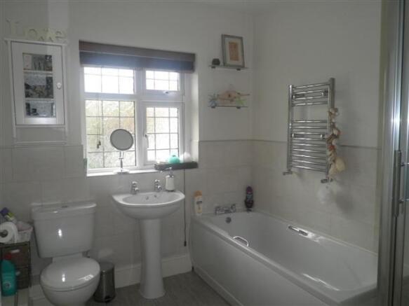 Picture 8