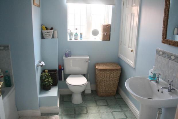 Picture No.12