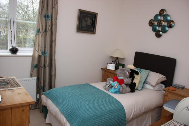 Photo 7