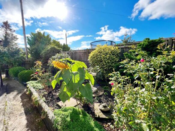 Garden 12.jpg
