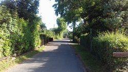 Photo 37