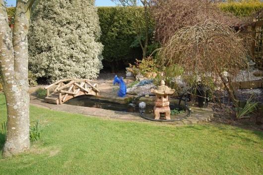 Another garden view