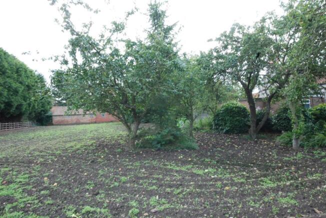 Grounds