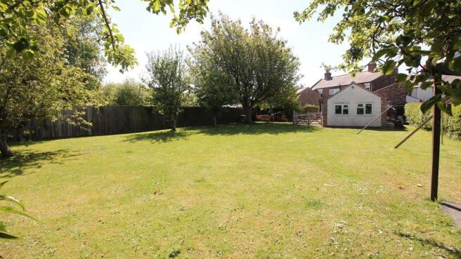 Garden at Back