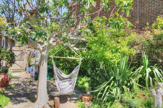 Relax under the Fig Tree