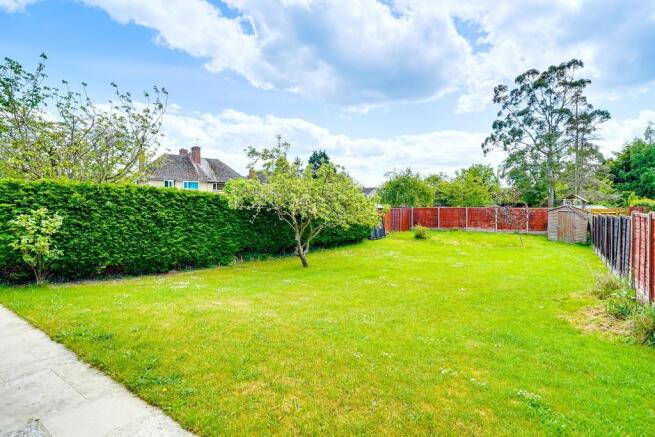 Back Garden