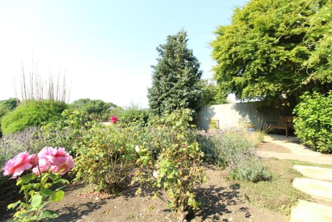 Photo 29
