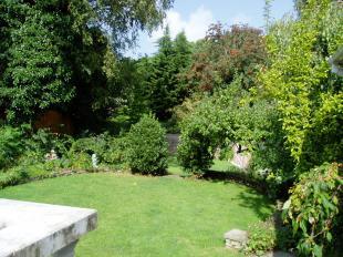 Rear Garden1