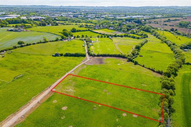 Daisy Field, Frome Mill Farm, Nibley lane, Nibley,