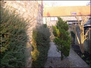 Courtyard Garden
