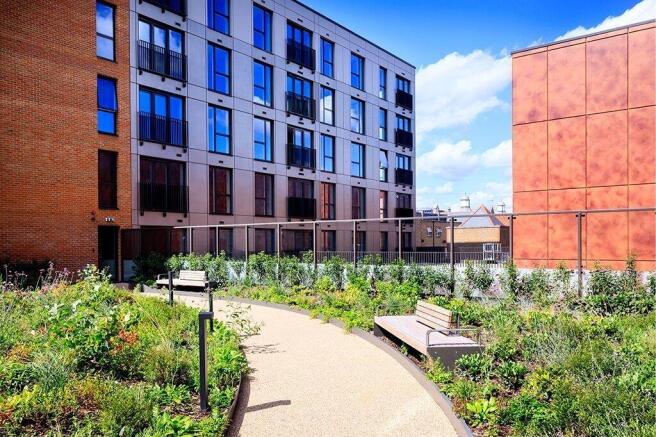 Roof Garden