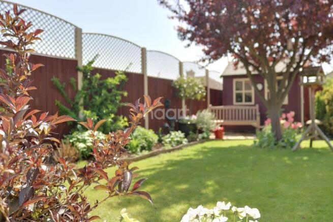 Photo 17