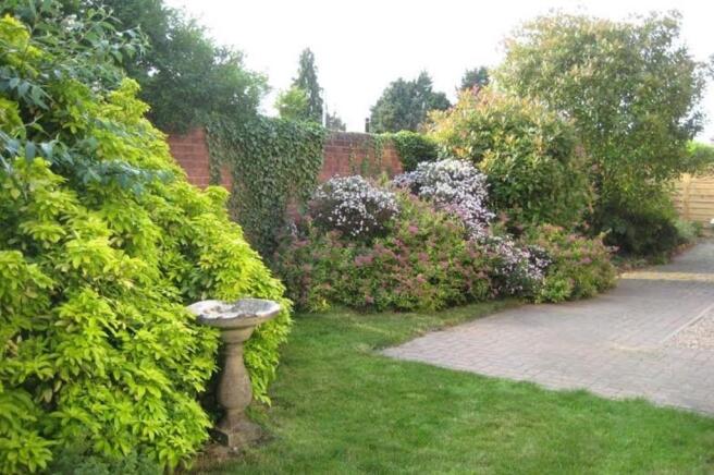 Photo 15