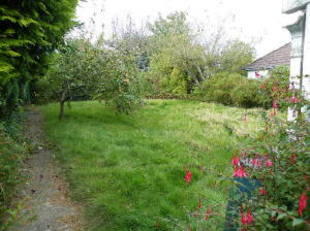 Side Garden