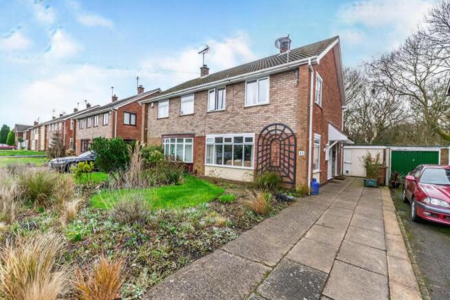 Front Views
