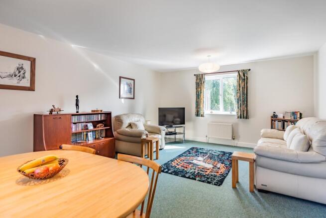 Living Room/Dining Area
