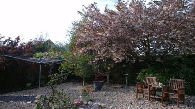 Rear Garden In...