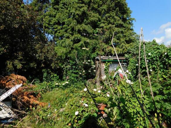 Garden 1
