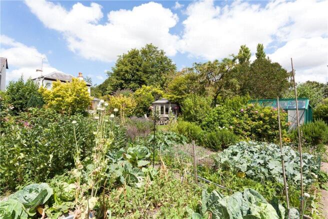 Vegetable Garden
