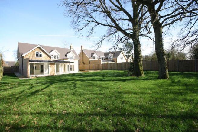 Rear of Property