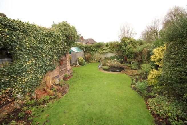 garden IMG_1108.JPG