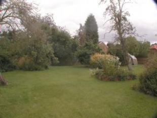 garden 2