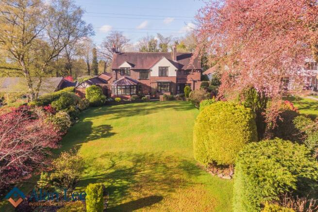 Back Garden