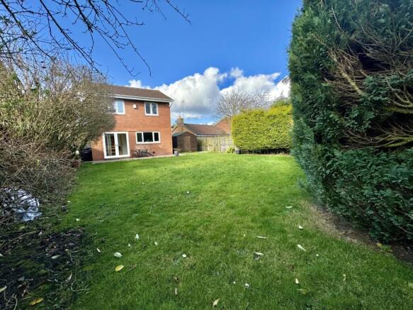 IMG_5806