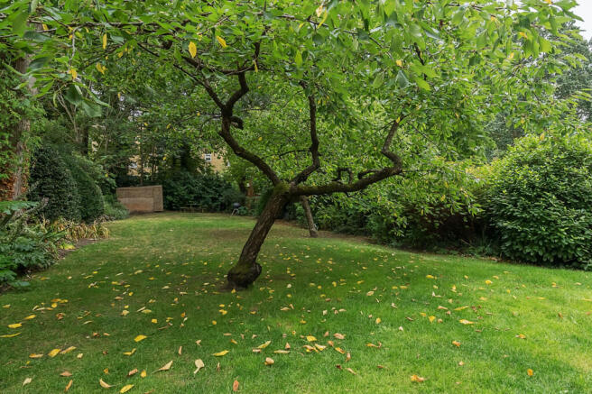 Communal Garden