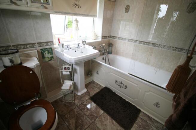 Image 11