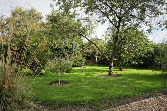 Orchard