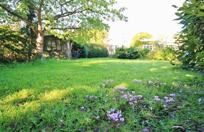 Rear garden