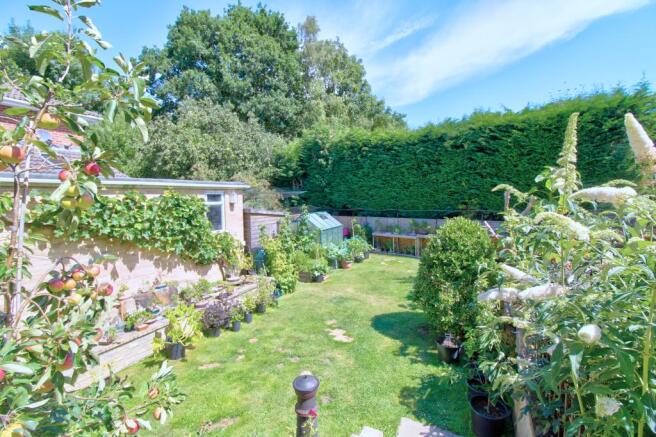 Garden 3