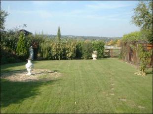 Garden and view