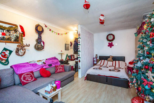 Lounge/Bedroom